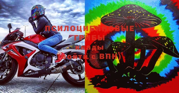 дживик Алзамай