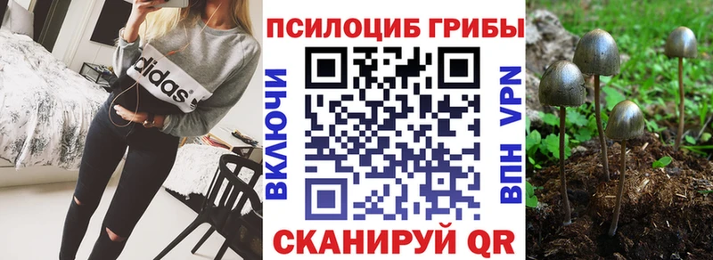 Галлюциногенные грибы прущие грибы  Чердынь 